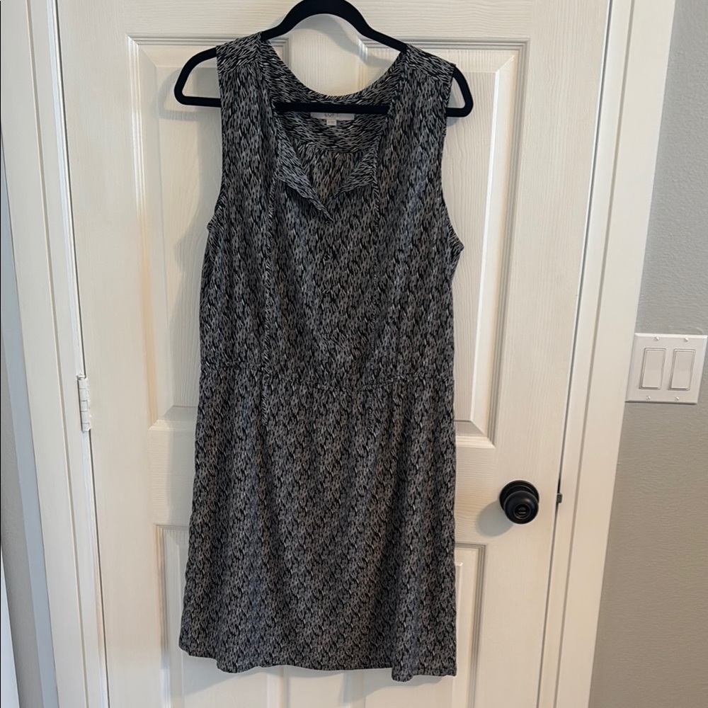 Loft Elegant Black and Gray Women's Dress